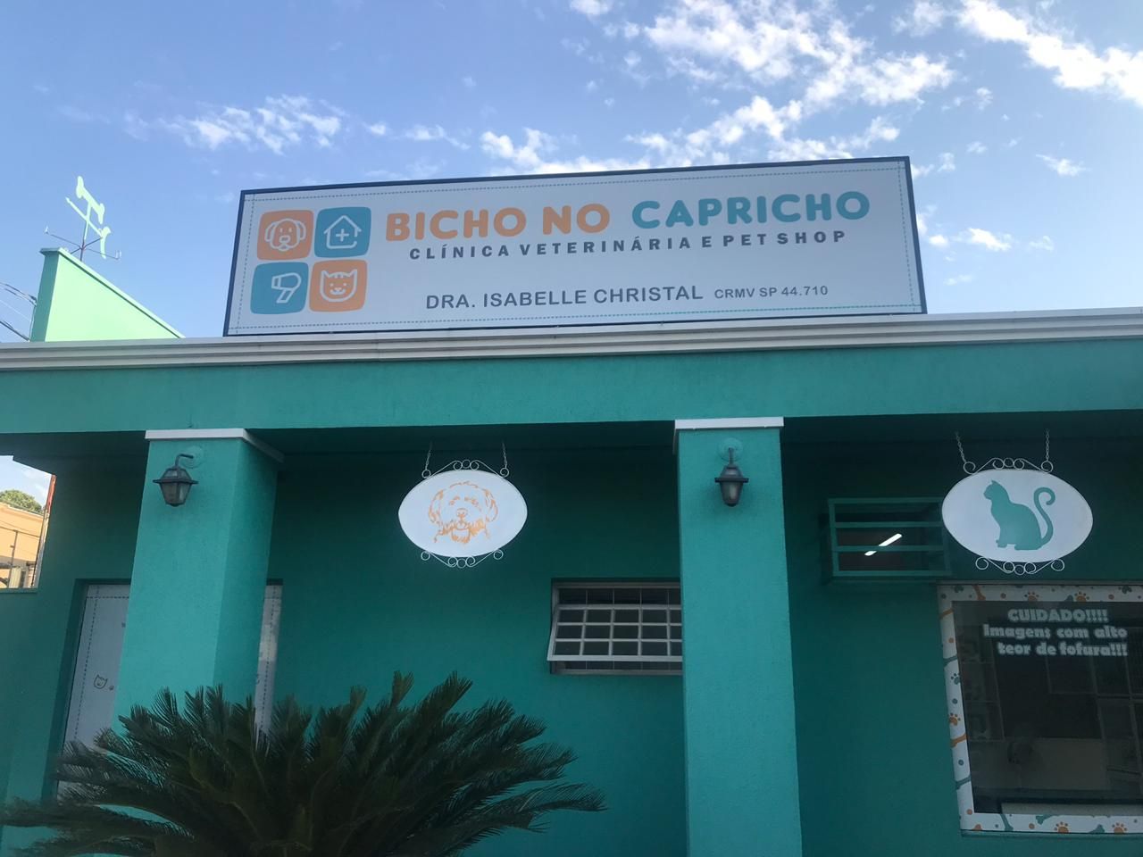 Lona em São José do Rio Preto - 9