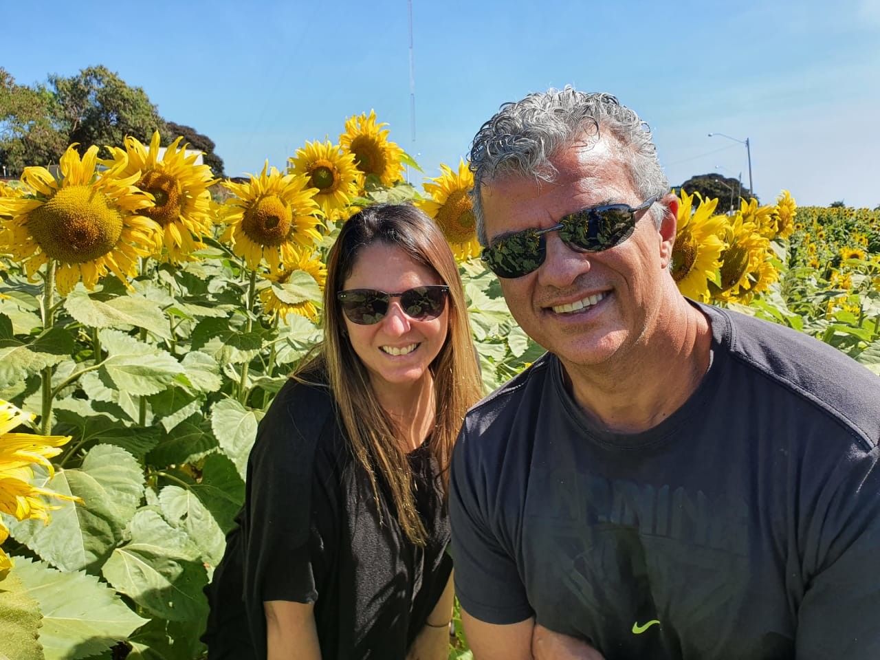 Campo de Girassol em Brasília! Um lugar para lindas fotos! - 6