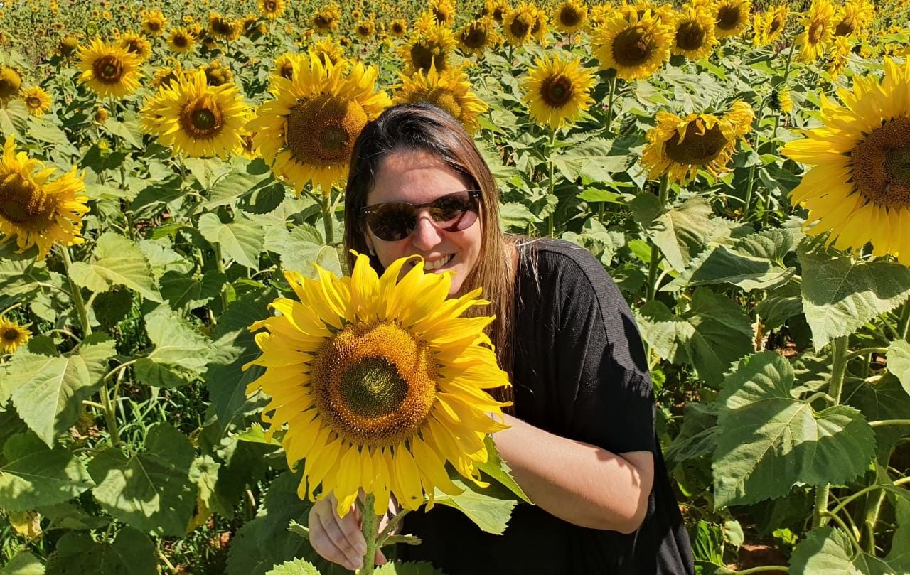 Campo de Girassol em Brasília! Um lugar para lindas fotos! - 14