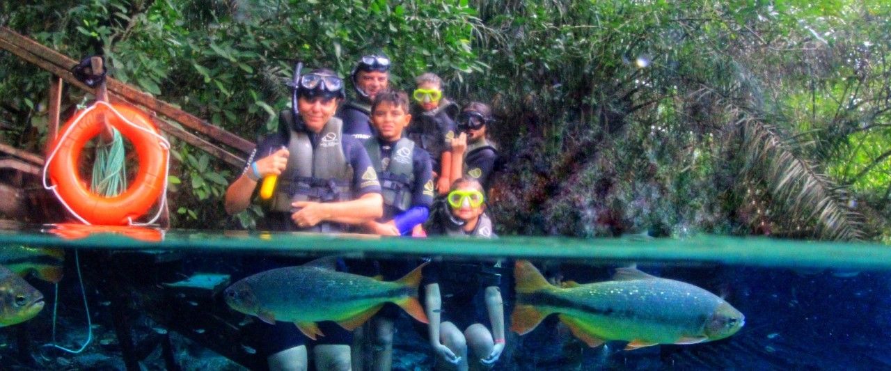 Bonito com crianças: o que você precisa saber! - 3