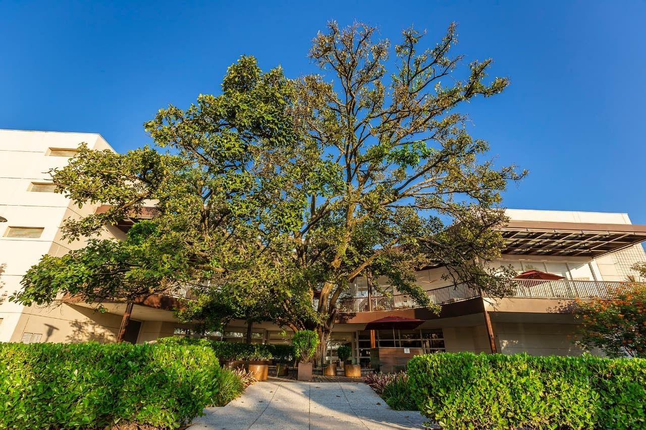 Iguatemi Rio Preto - happy hour com música ao vivo - 2