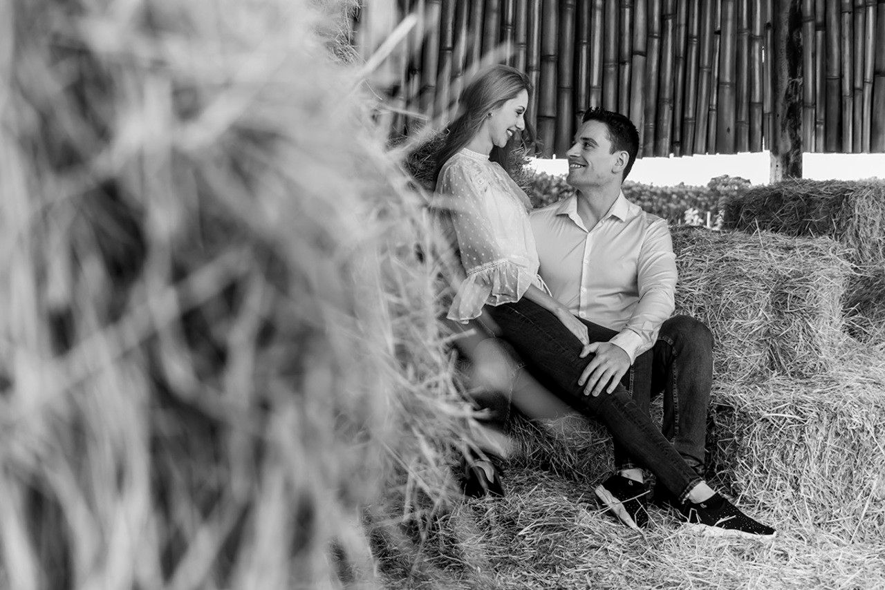 Saiba como fazer seu ensaio em Holambra! - 12