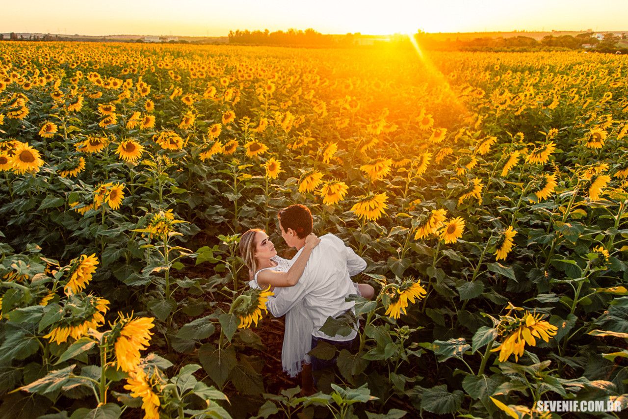 Saiba como fazer seu ensaio em Holambra! - 5