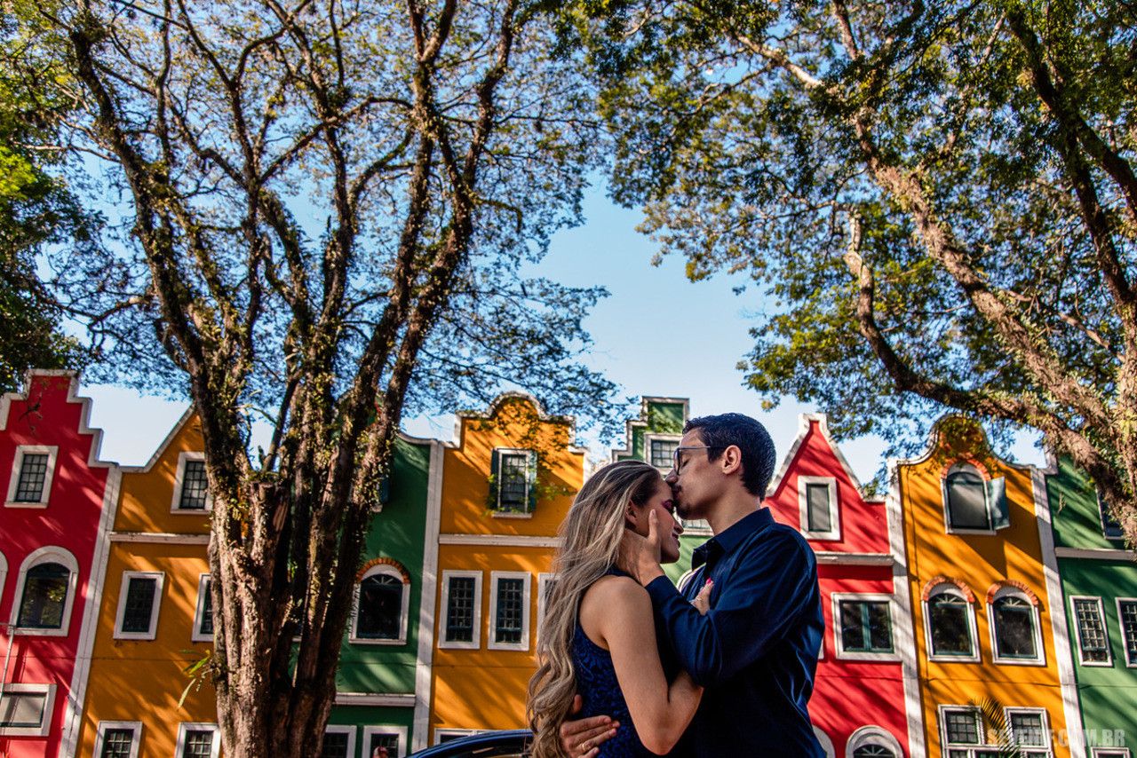 Saiba como fazer seu ensaio em Holambra! - 15