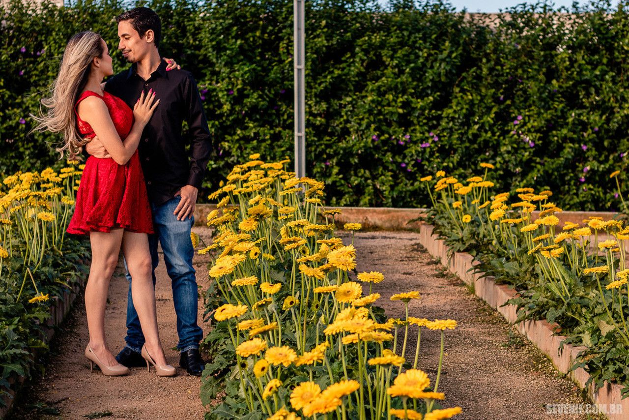 Saiba como fazer seu ensaio em Holambra! - 10