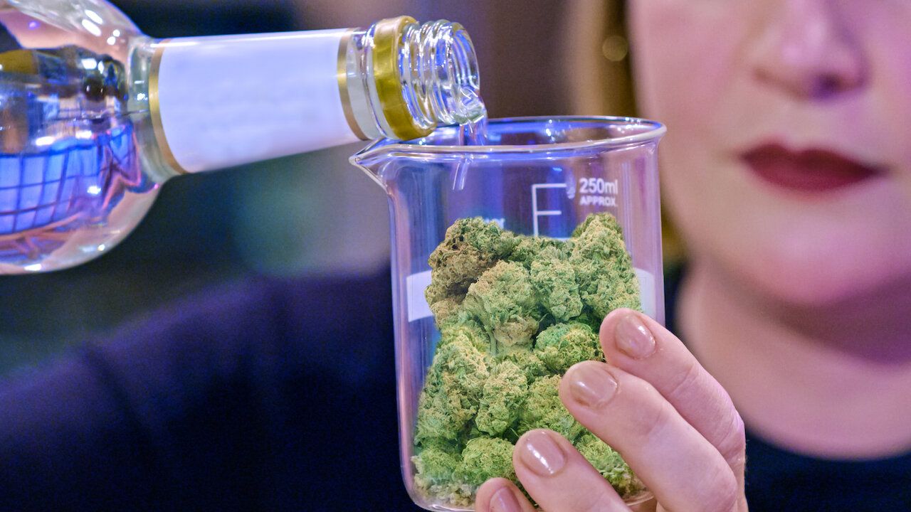 Filmes documentários e séries sobre a Cannabis: informação para além do clichê - 21