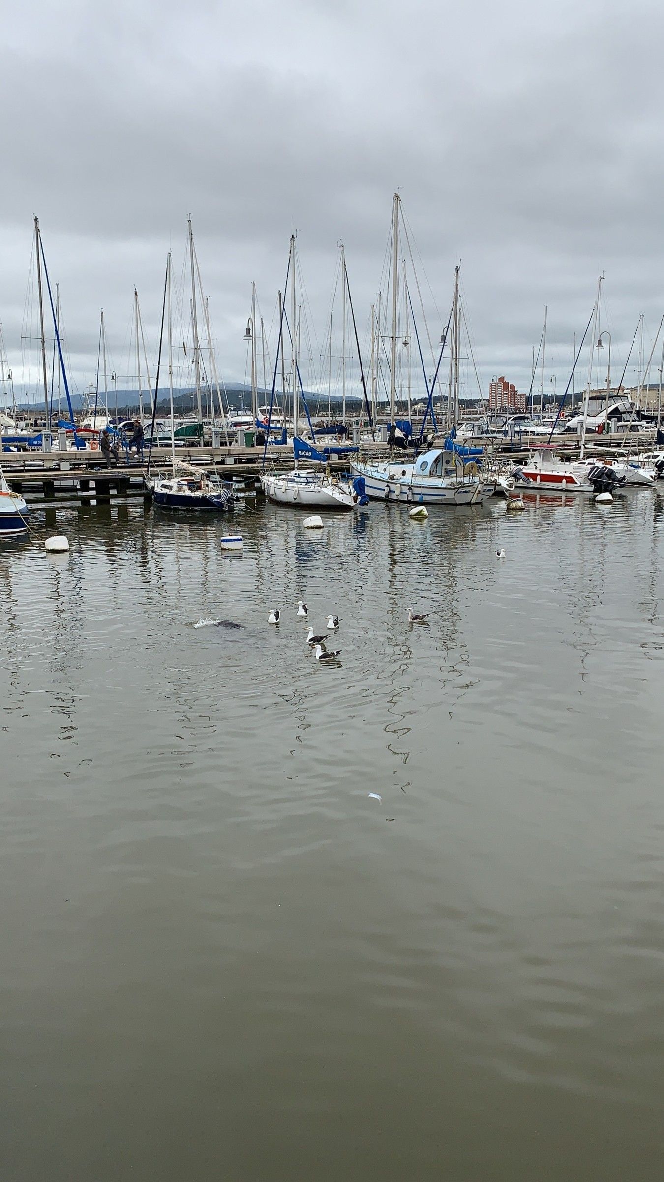 O que fazer em Piriápolis no Uruguai - 16