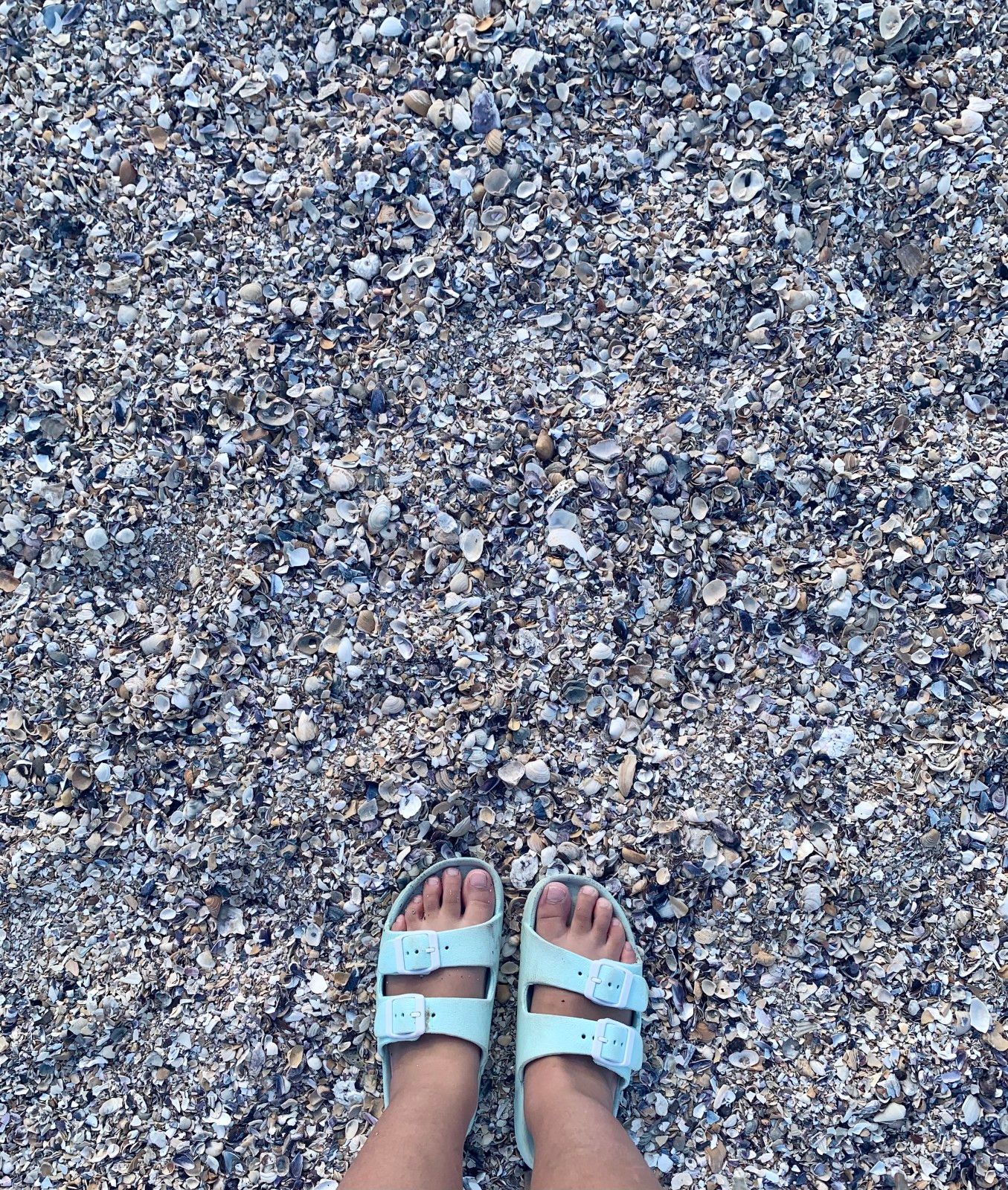 O que fazer em Cabo Polonio em 1 dia - 21