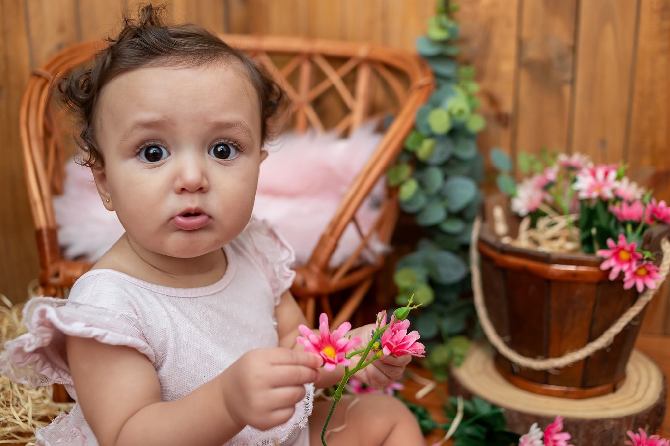 Claudia Beck Fotografia - 1