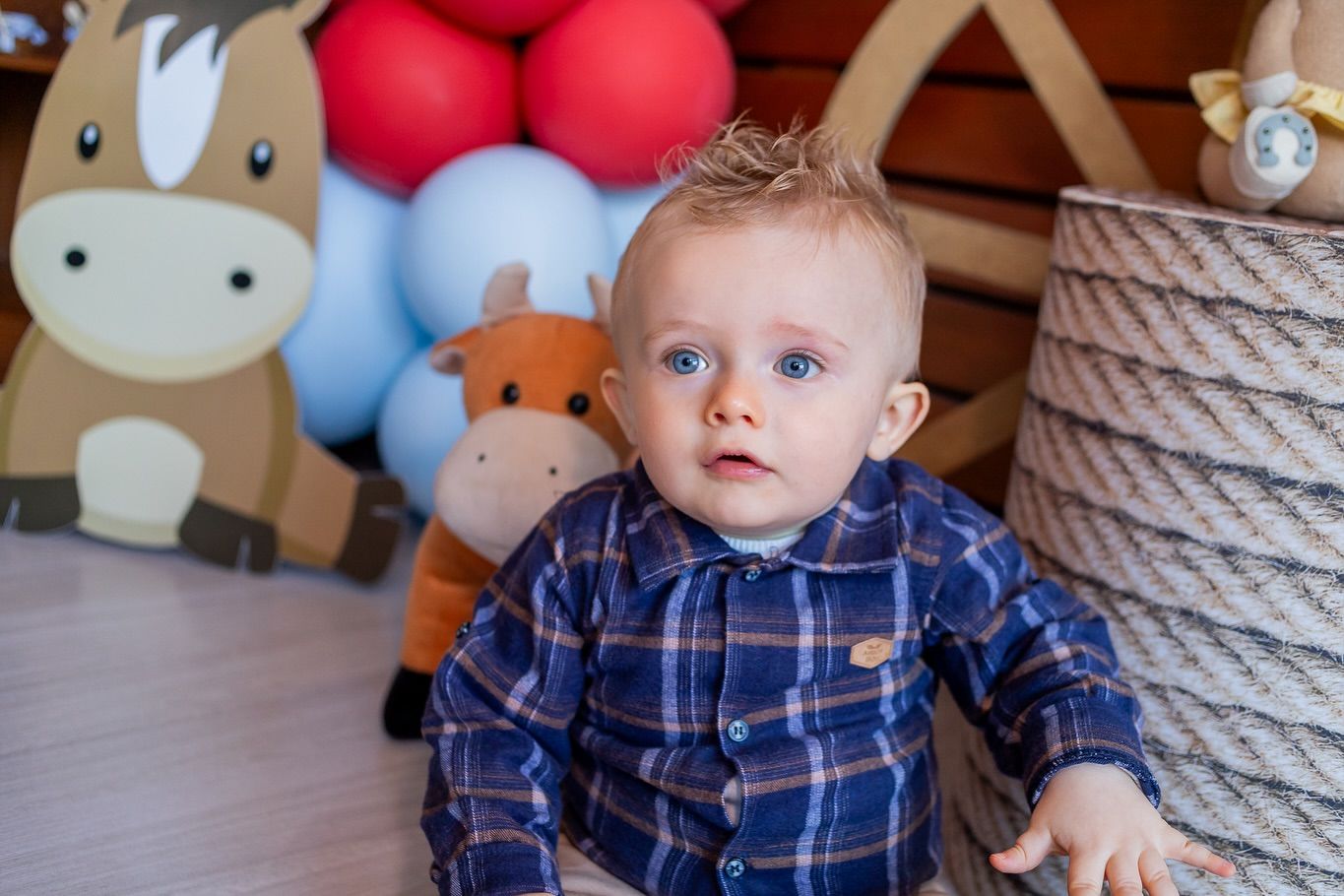 Claudia Beck Fotografia - 3