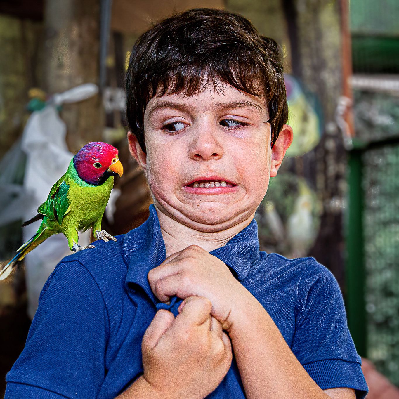 Nina Castro - Curitiba - PR - 4 - 3