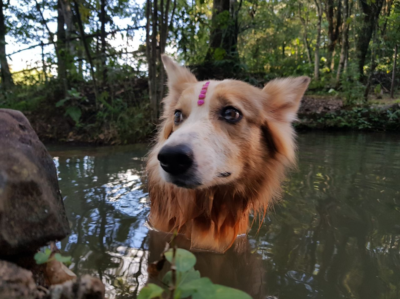 Cachoeira do Miltão é boa opção para ecoturismo bem perto de Rio Preto - 5