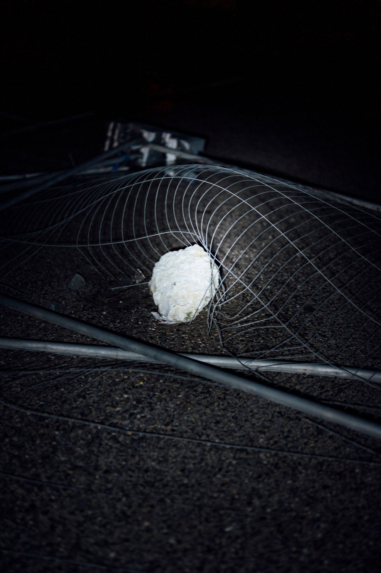 Tempestade Kristin // Figueira da Foz - 2 - 1