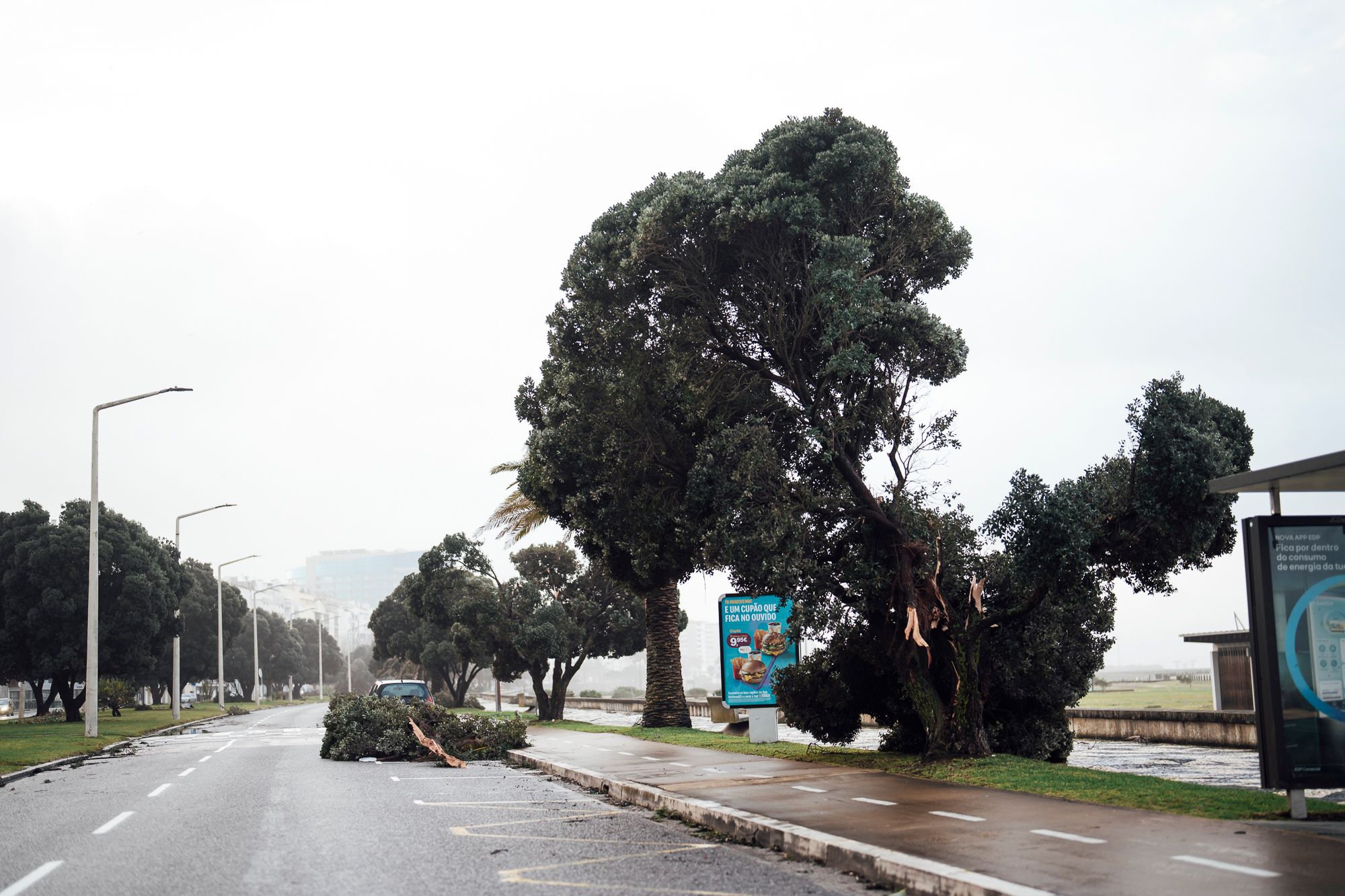 Tempestade Kristin // Figueira da Foz - 2 - 0