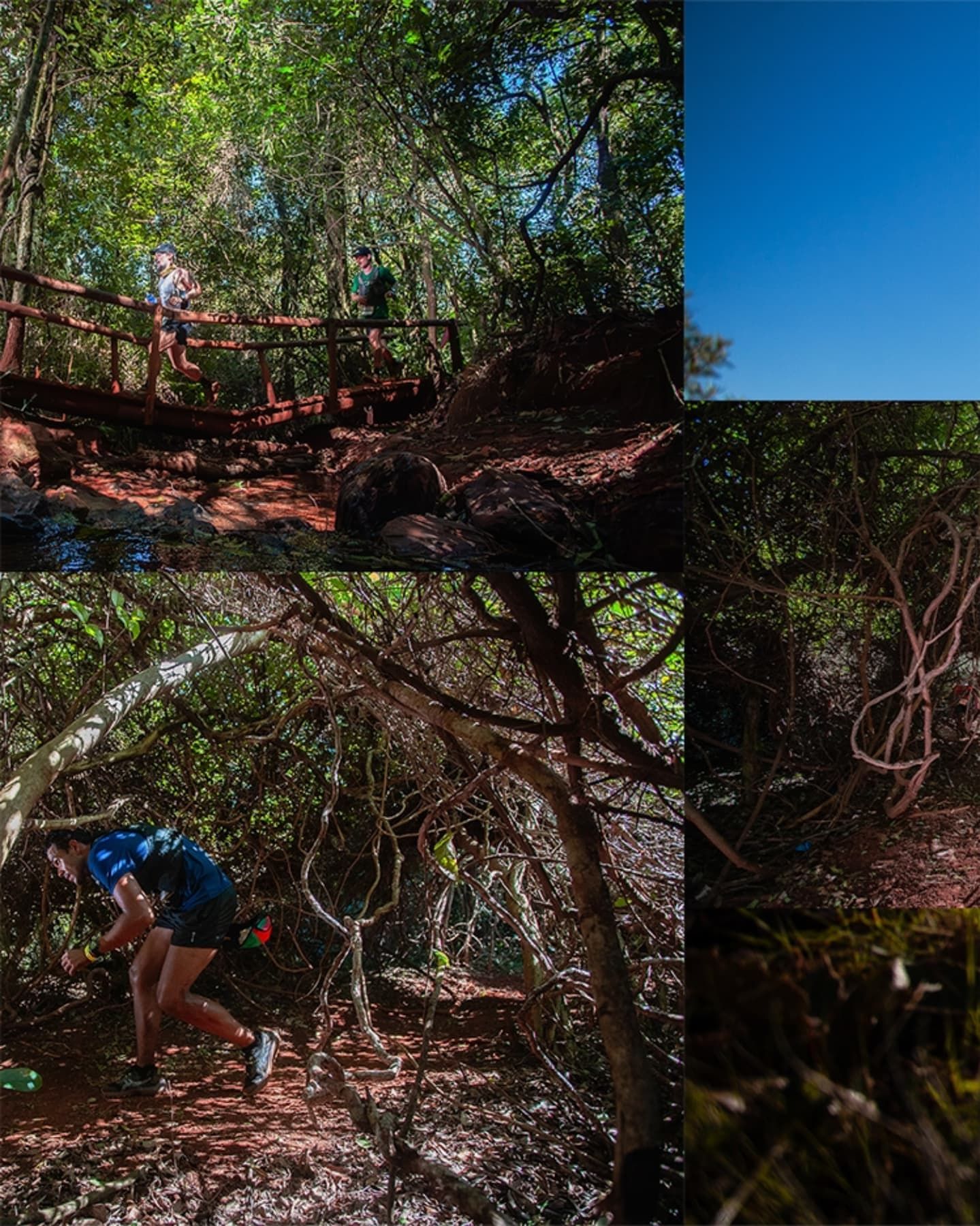 Foto e vídeo de ensaios, cobertura, documentários e muito mais... - 11