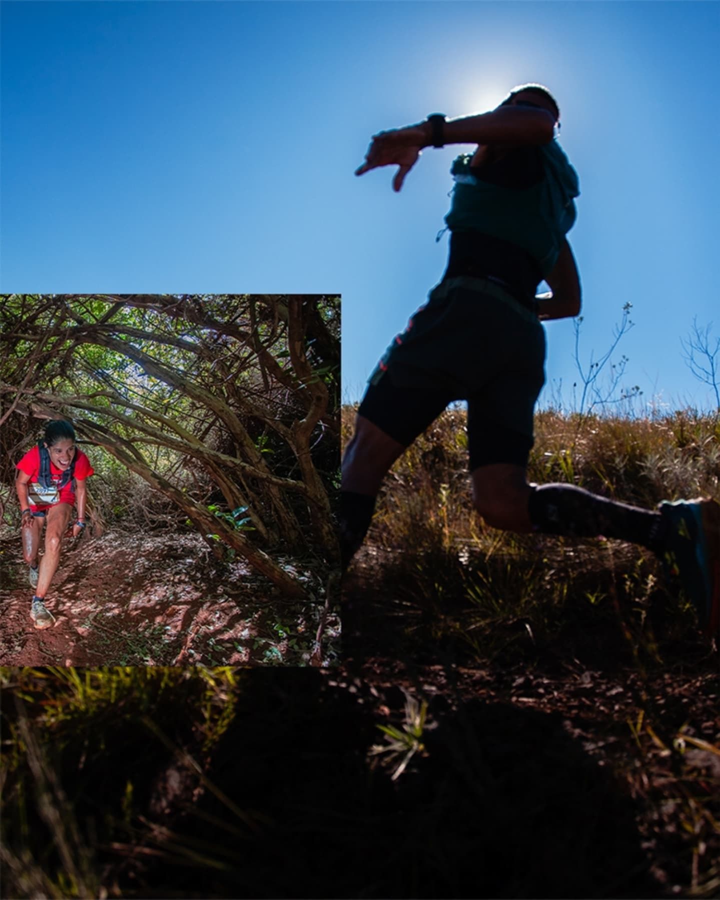 Foto e vídeo de ensaios, cobertura, documentários e muito mais... - 12