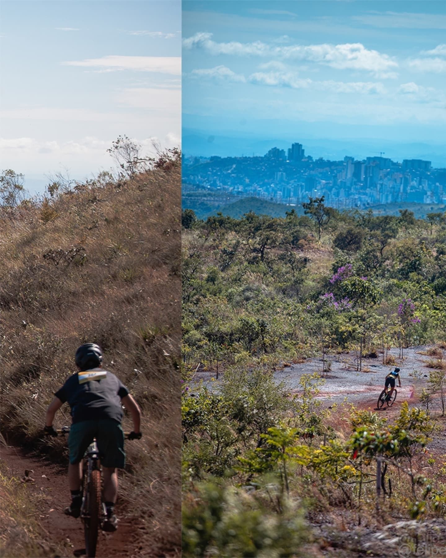 Foto e vídeo de ensaios, cobertura, documentários e muito mais... - 17