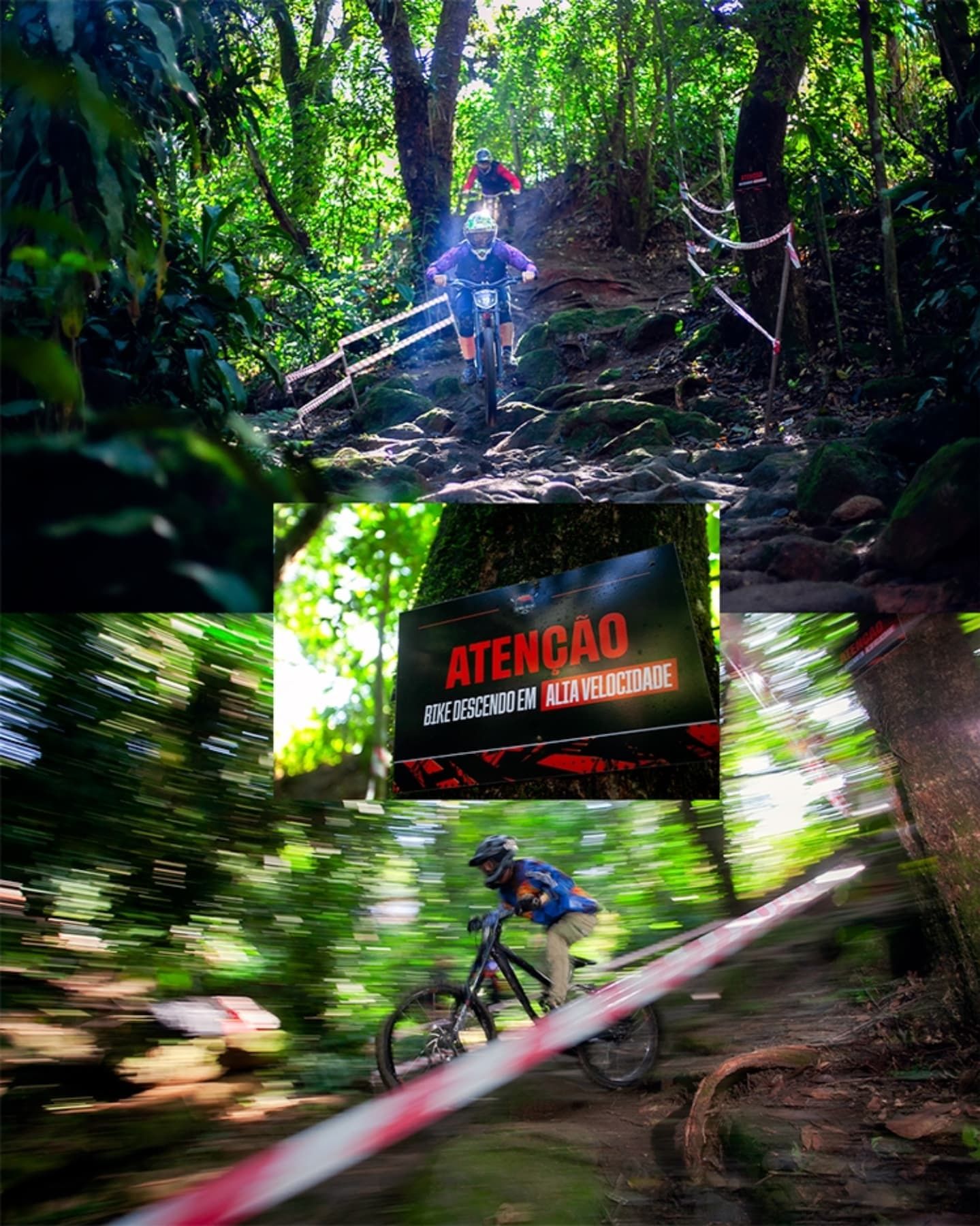 Foto e vídeo de ensaios, cobertura, documentários e muito mais... - 12