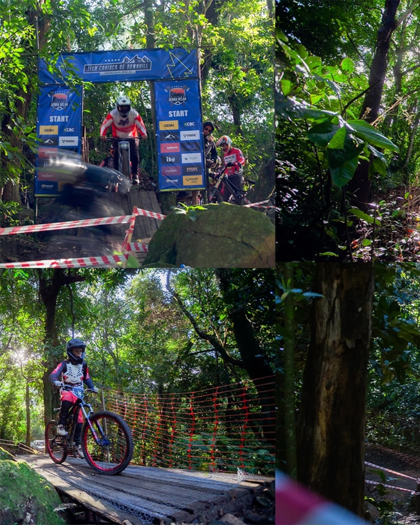 Foto e vídeo de ensaios, cobertura, documentários e muito mais... - 15