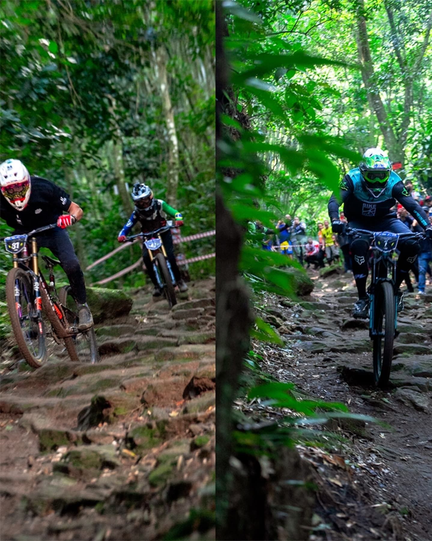 Foto e vídeo de ensaios, cobertura, documentários e muito mais... - 17