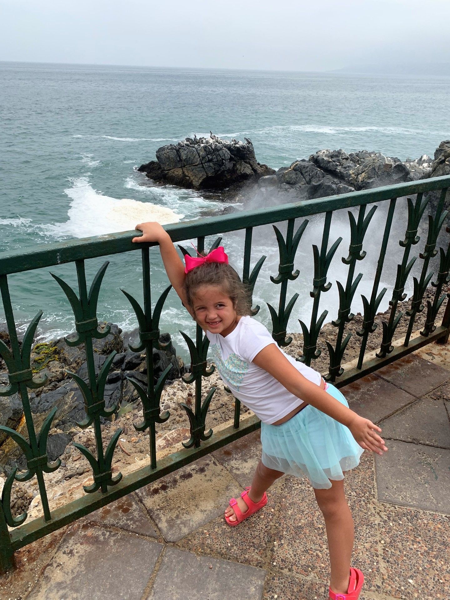 Vinã del Mar: bate-volta saindo de Santiago - 18