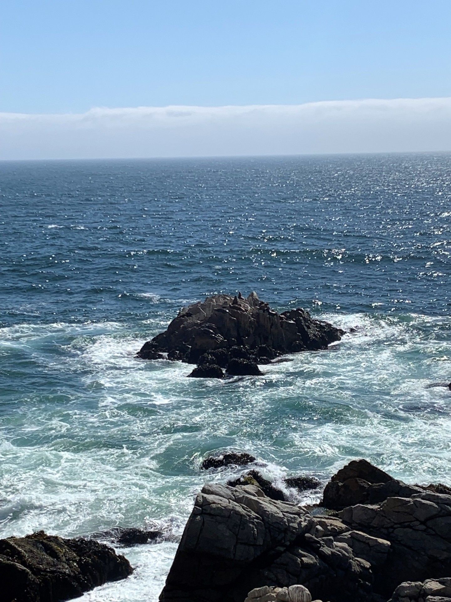 Vinã del Mar: bate-volta saindo de Santiago - 38