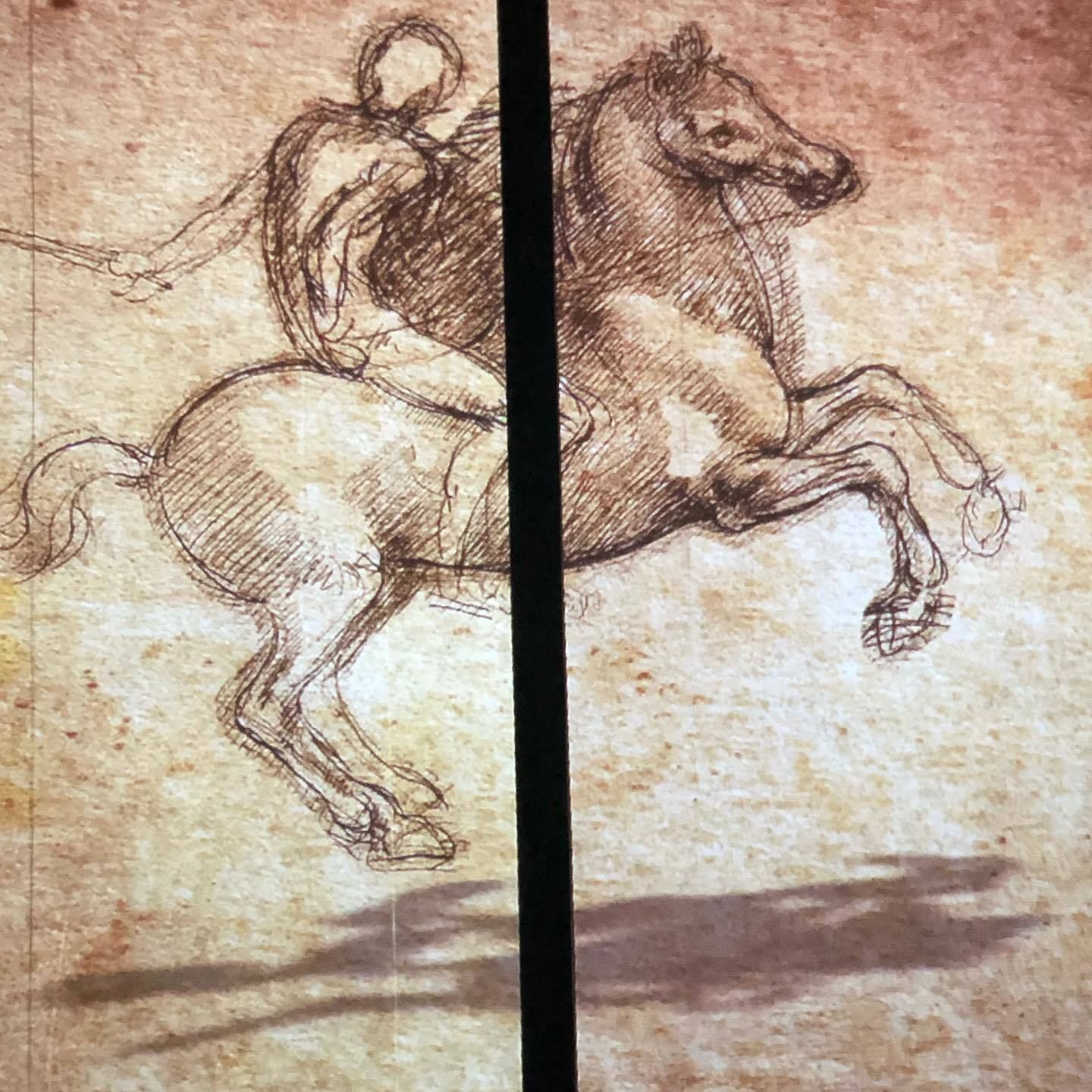 500 years da Vinci experience - 5