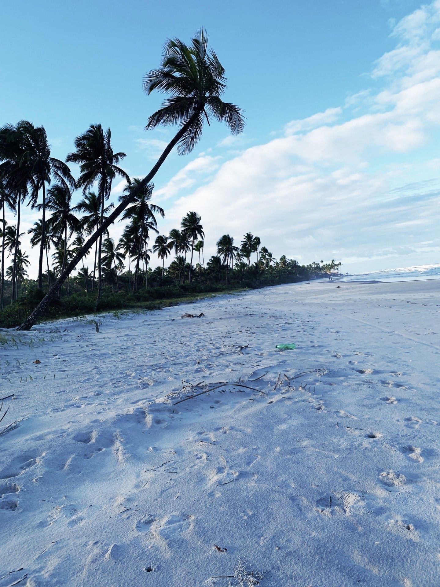De Salvador a Ilhéus: guia de praias da Costa do Cacau e do Dendê! - 49