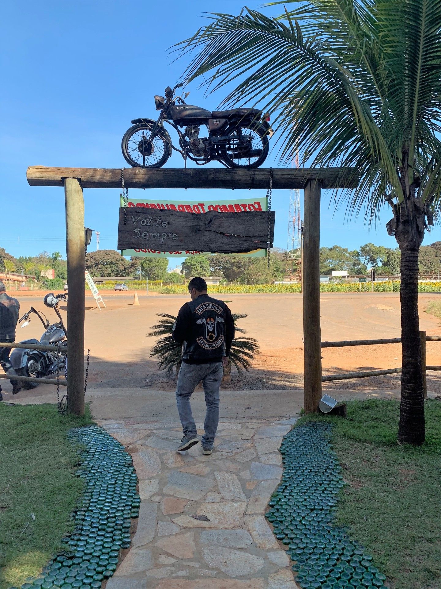 Campo de Girassol em Brasília! Um lugar para lindas fotos! - 25