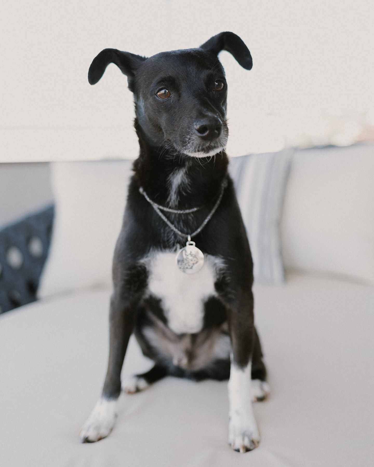 Ensaio Gestante - 14