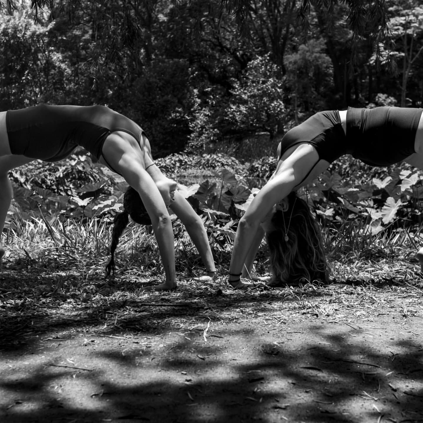 YOGA ATIVIDADE NO PARQUE - 9