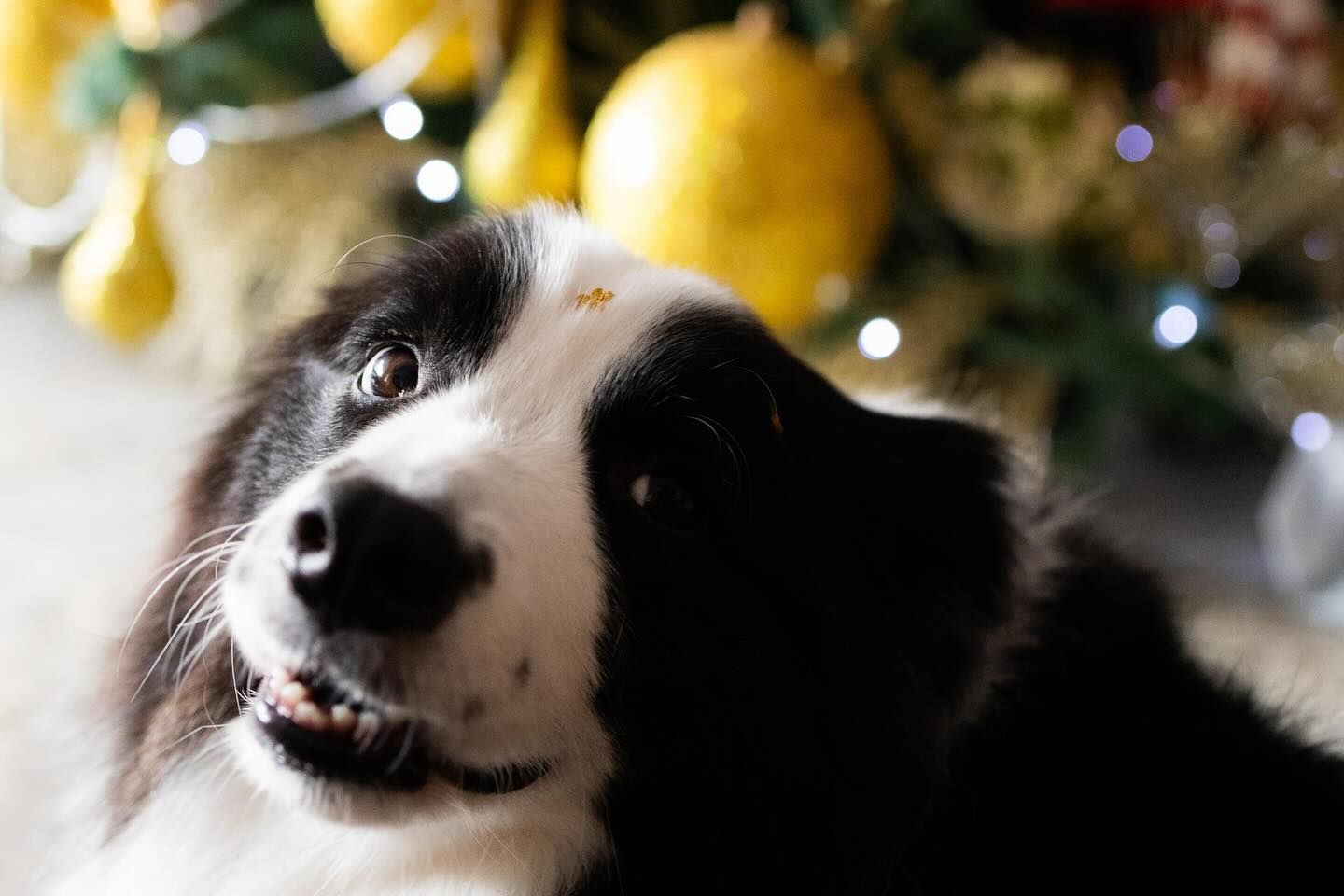 Barbara Bastos Fotografia - 6