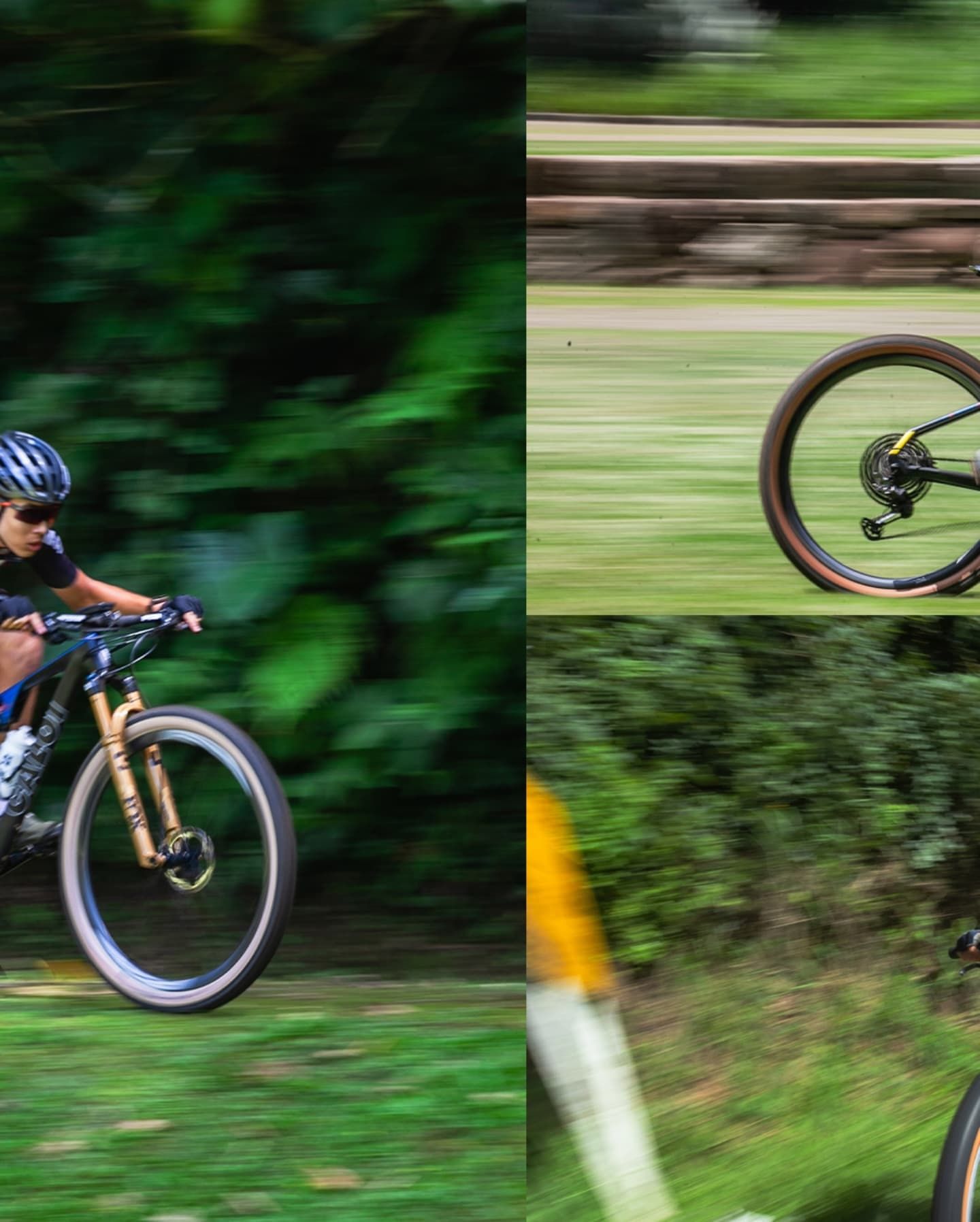 Foto e vídeo de ensaios, cobertura, documentários e muito mais... - 13