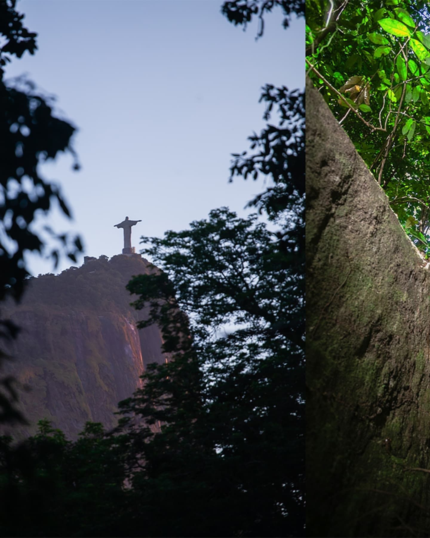 Foto e vídeo de ensaios, cobertura, documentários e muito mais... - 4