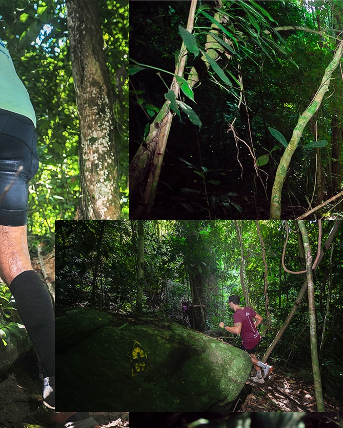 Foto e vídeo de ensaios, cobertura, documentários e muito mais... - 6