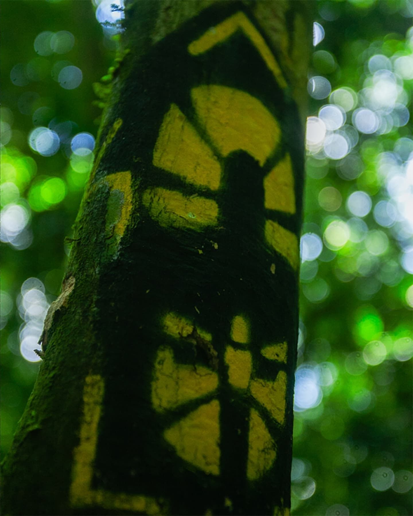 Foto e vídeo de ensaios, cobertura, documentários e muito mais... - 20