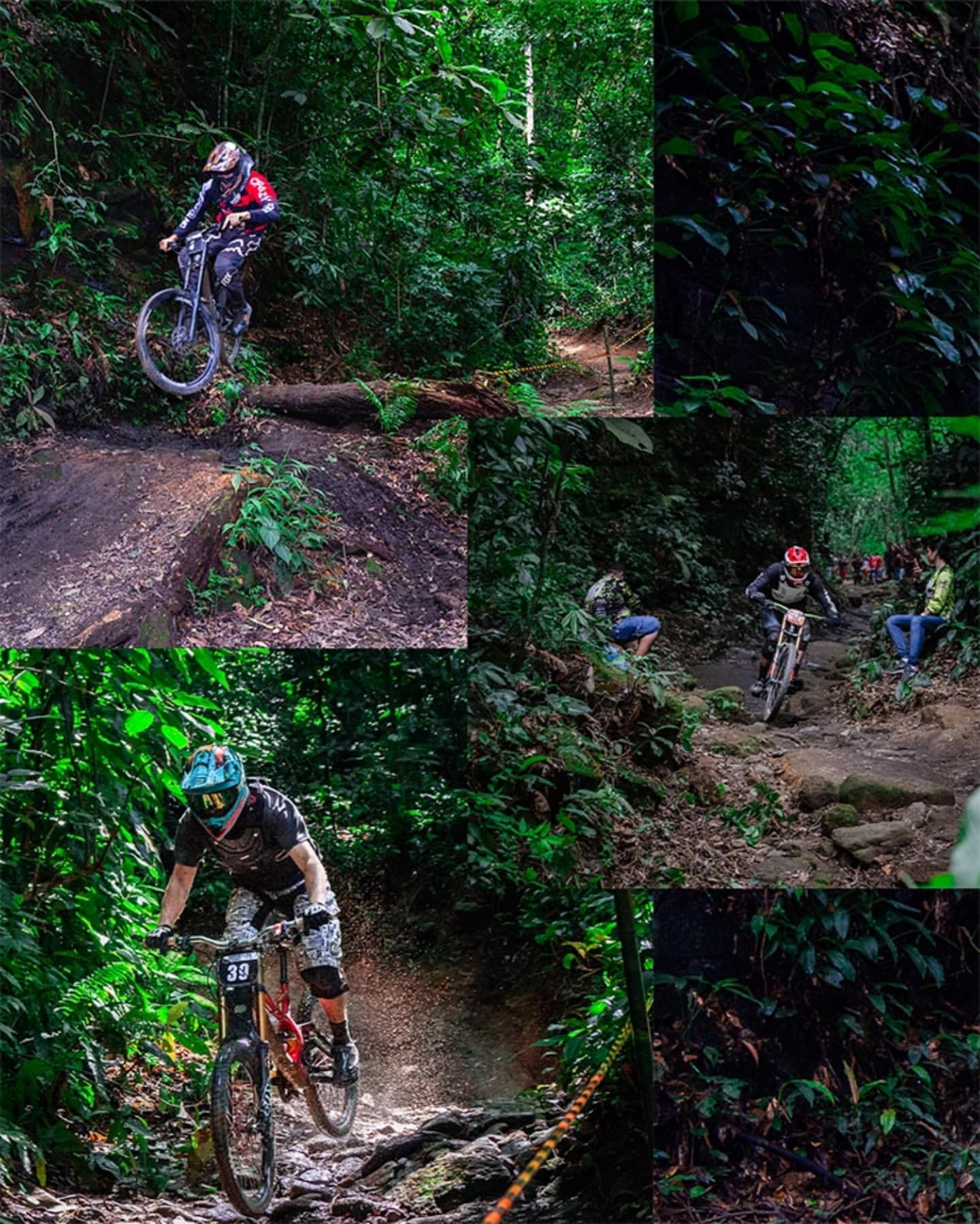 Foto e vídeo de ensaios, cobertura, documentários e muito mais... - 3