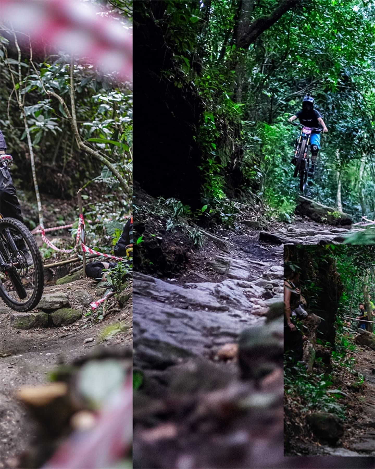 Foto e vídeo de ensaios, cobertura, documentários e muito mais... - 6