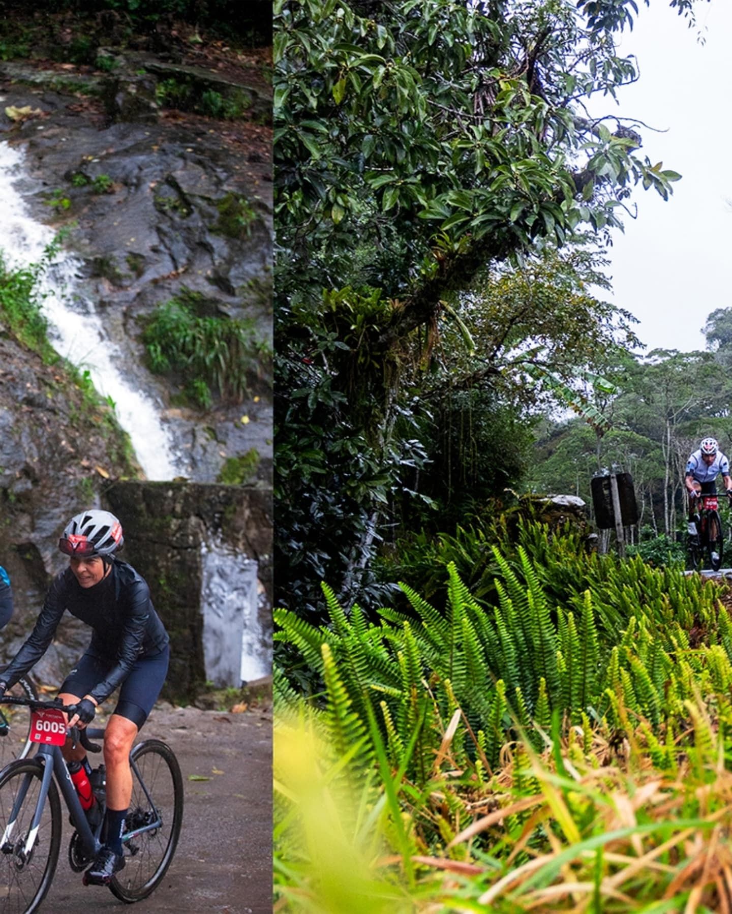 Foto e vídeo de ensaios, cobertura, documentários e muito mais... - 11