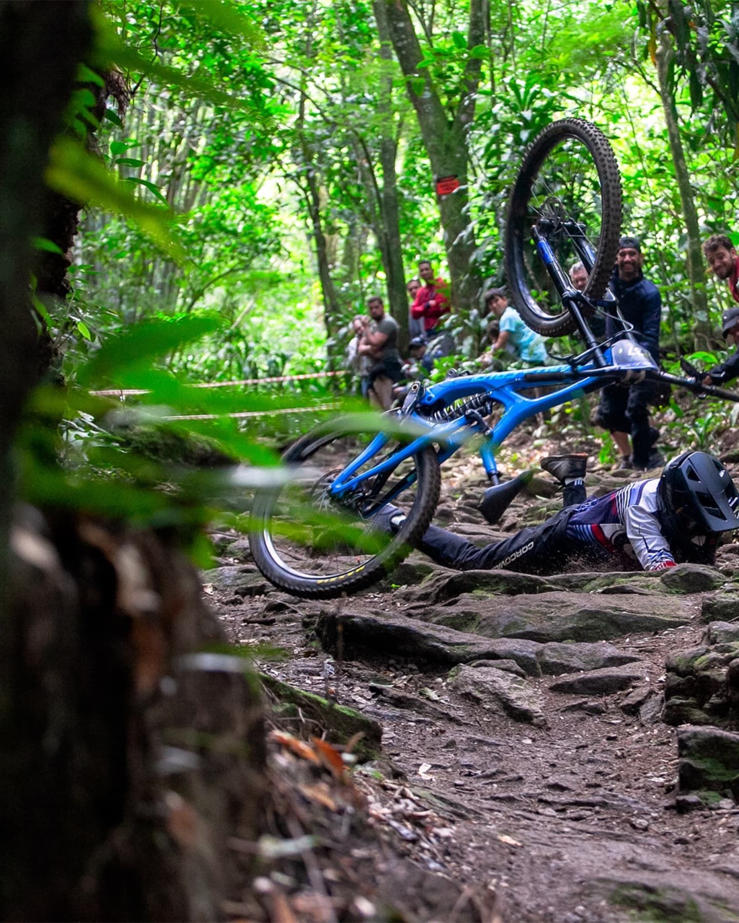Foto e vídeo de ensaios, cobertura, documentários e muito mais... - 1