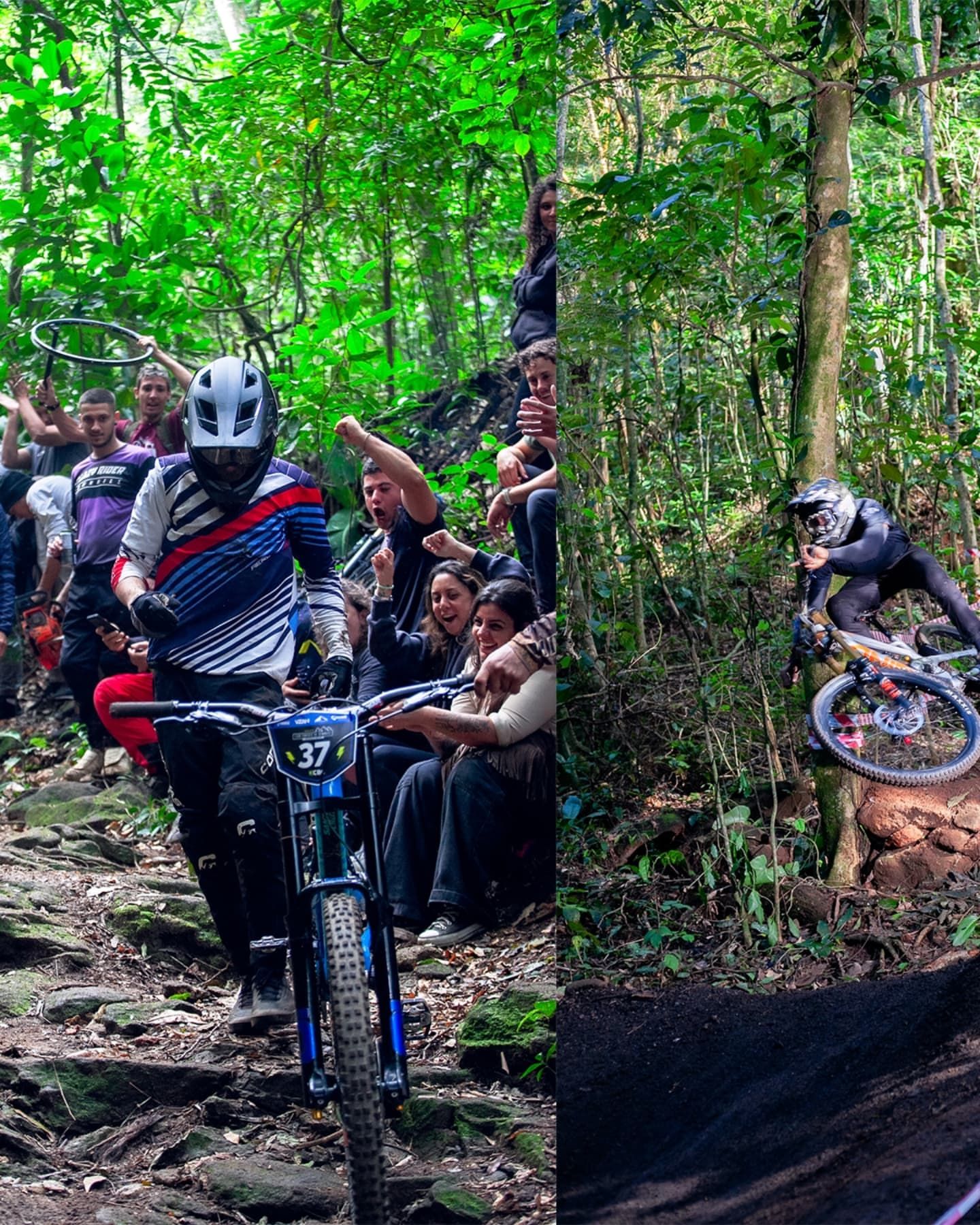 Foto e vídeo de ensaios, cobertura, documentários e muito mais... - 3