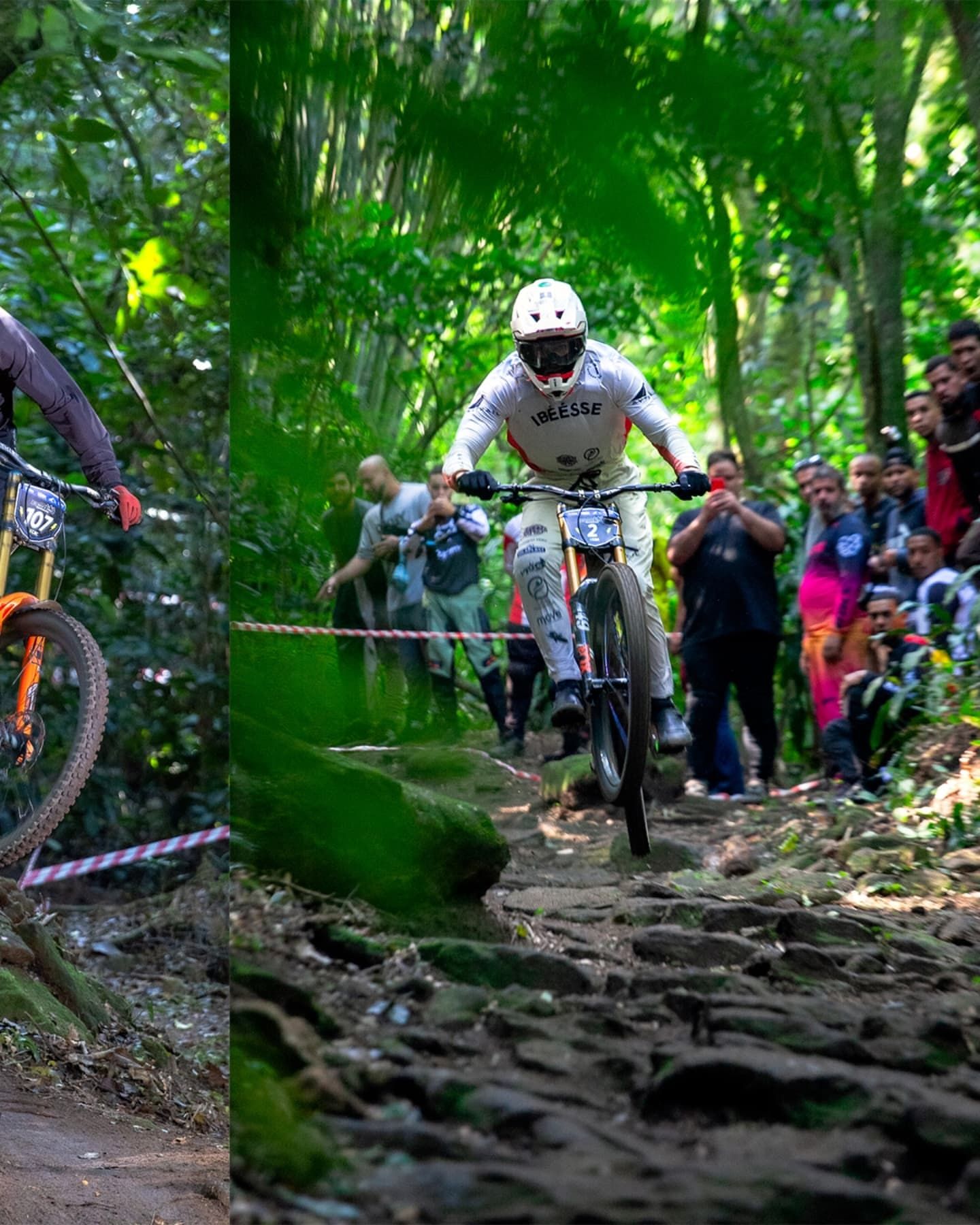 Foto e vídeo de ensaios, cobertura, documentários e muito mais... - 5