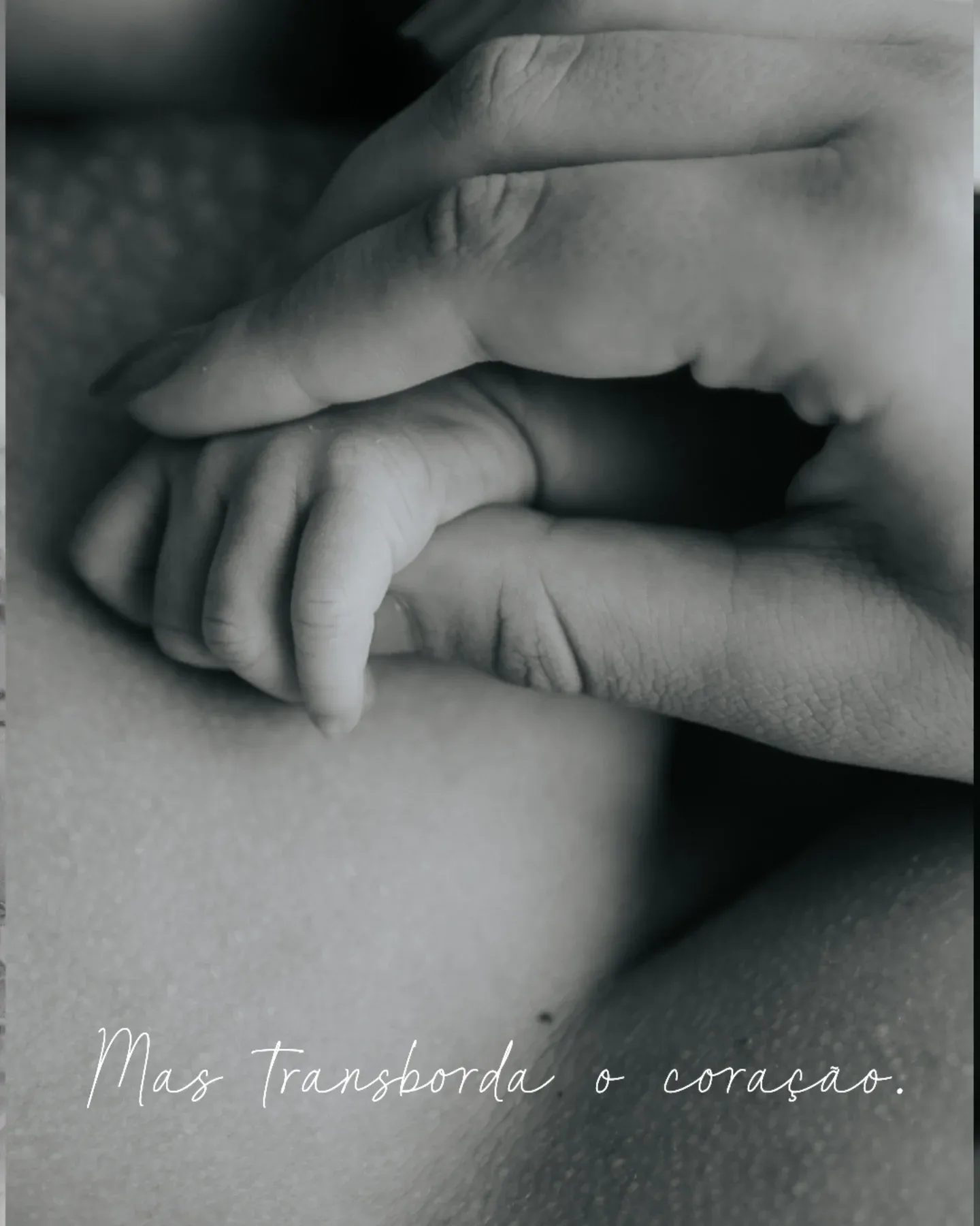 Estefani Fotógrafa - 6