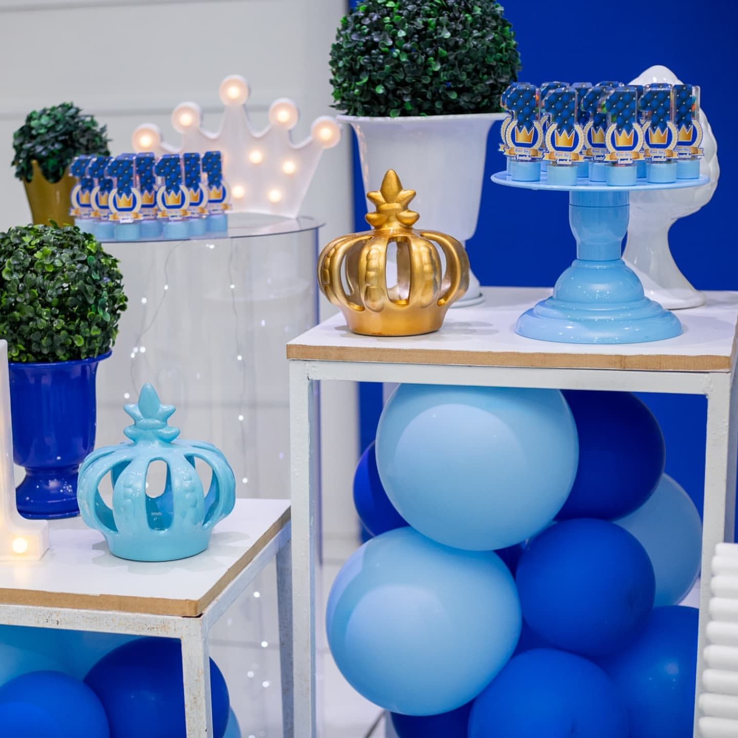 Claudia Beck Fotografia - 4