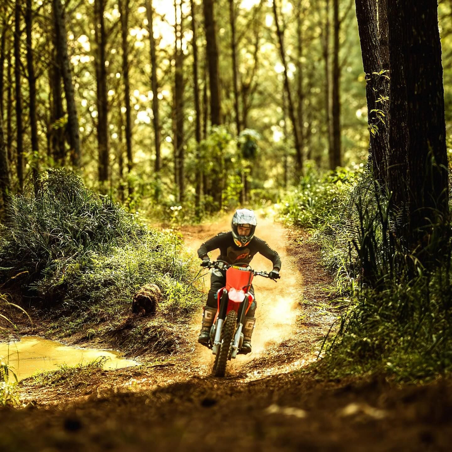 Deb Martins Fotografia - 2