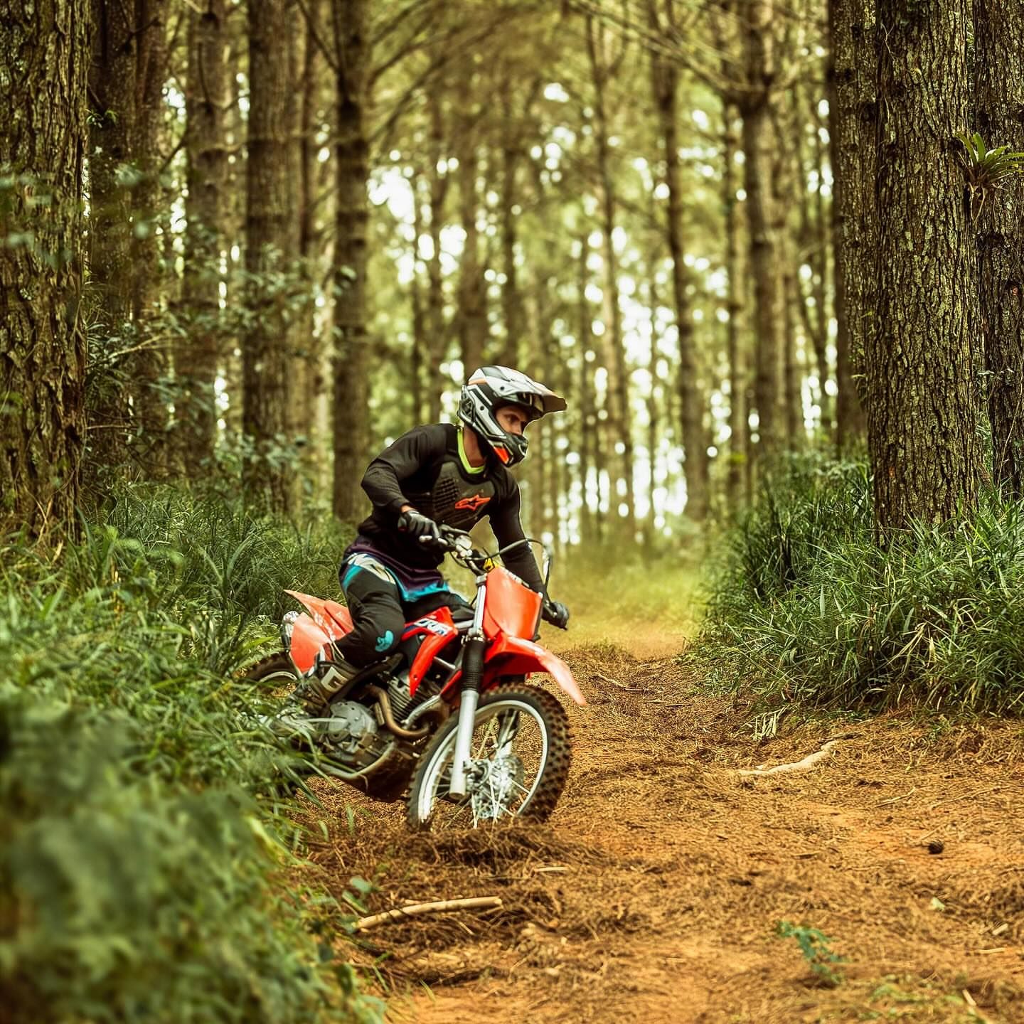 Deb Martins Fotografia - 4