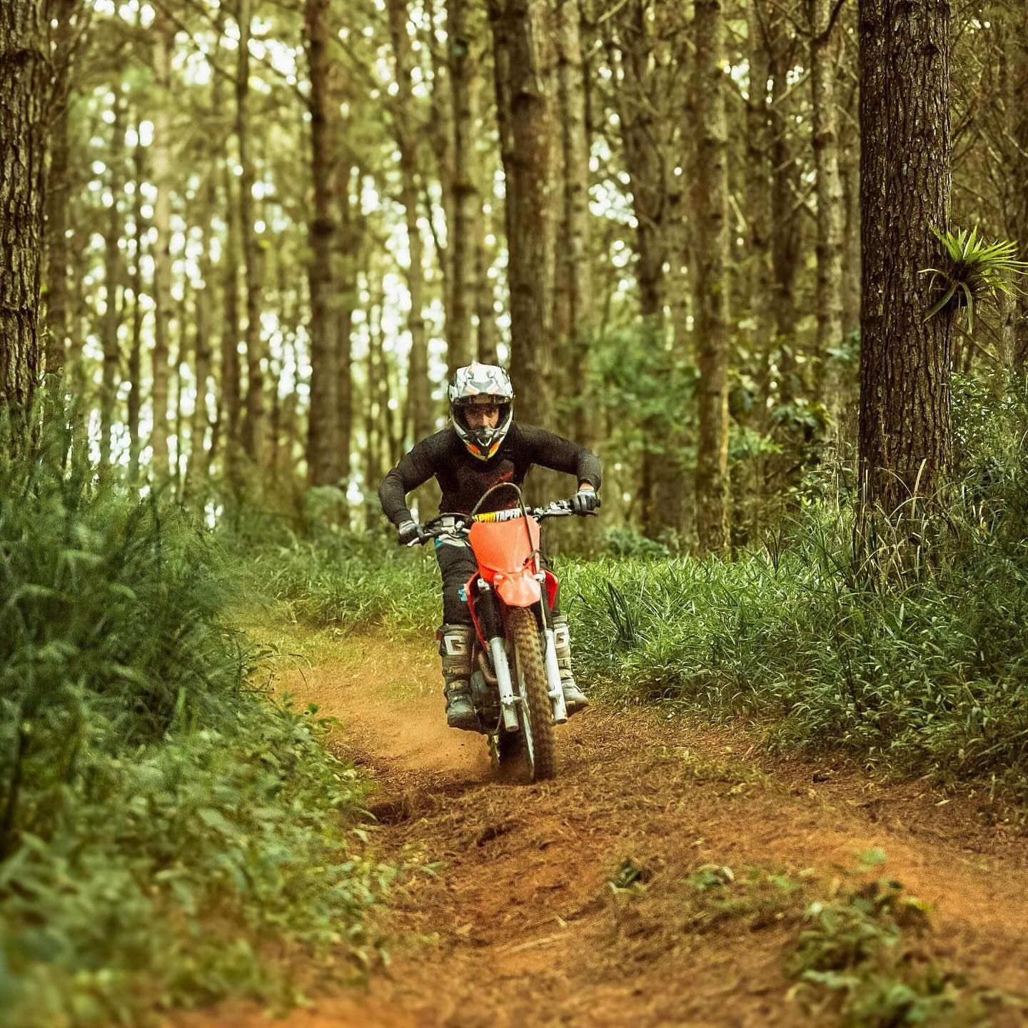 Deb Martins Fotografia - 5