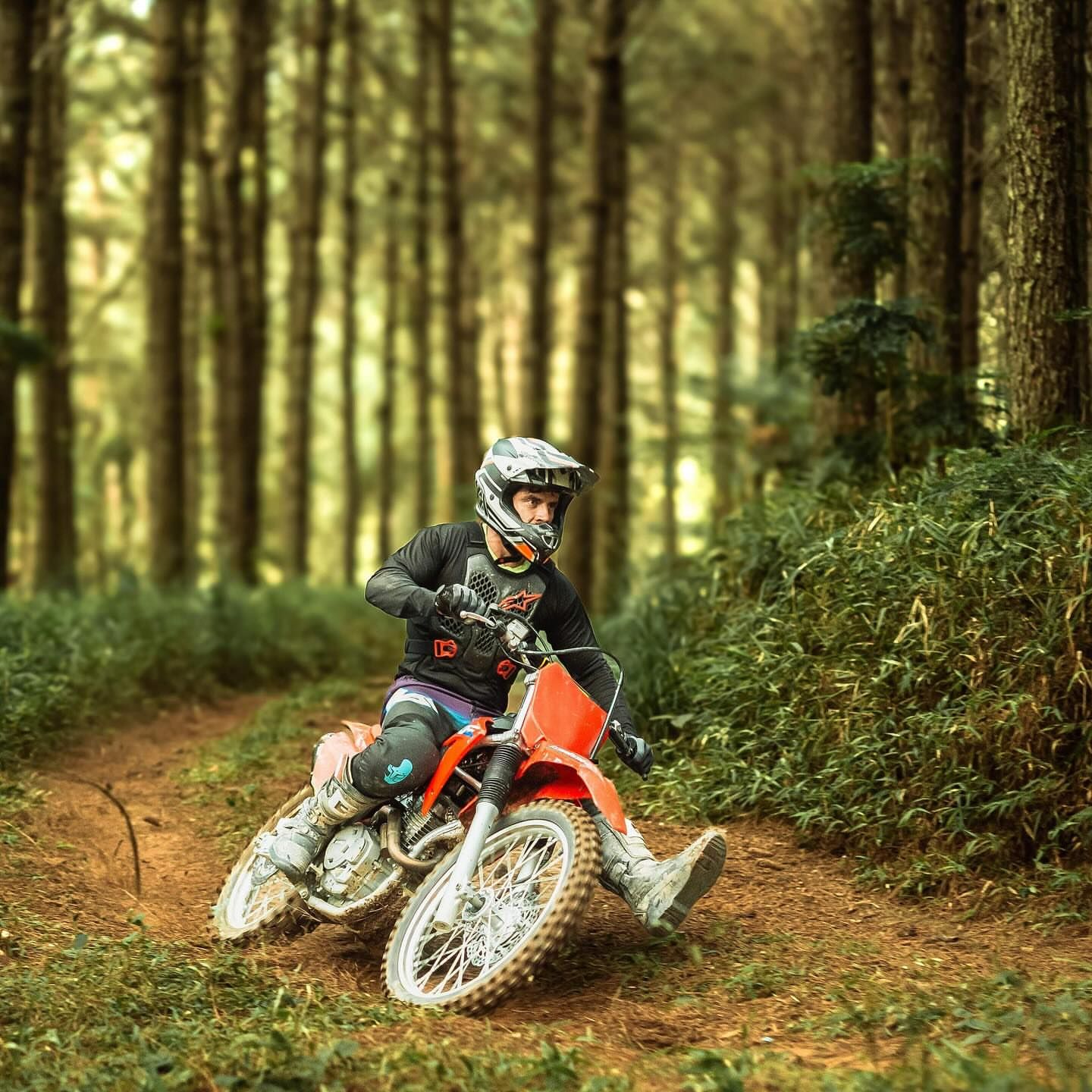 Deb Martins Fotografia - 7