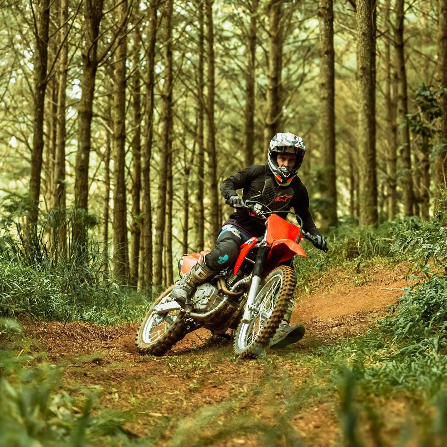 Deb Martins Fotografia - 8