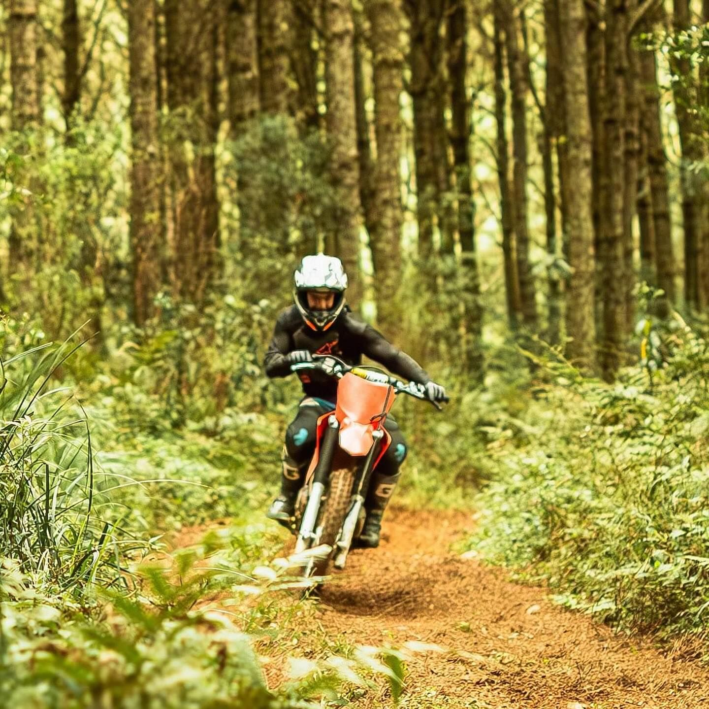 Deb Martins Fotografia - 10